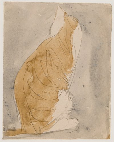 Studie van een kat door Gwen John