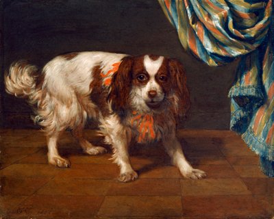 Een King Charles Spaniël door Gysbert van de Kuyl