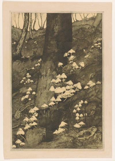 Paddenstoelen in een bos (Herfst) door H.C. Spruit (signed by artist)