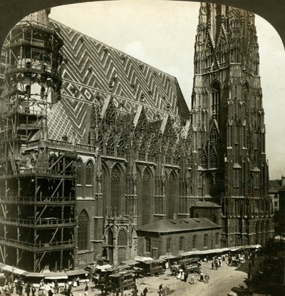 Kathedraal van Sint Stefanus Stephansdom, Wenen, Oostenrijk door H. C. White