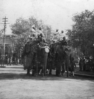 Een Punjabi prinses op een olifant in een processie, Delhi, India door H. Hands and Son