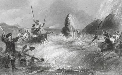 De walvis aan de kust door H. Melville