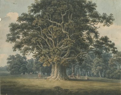 Needwood - Swilcar Oak: aquarel door H Moore