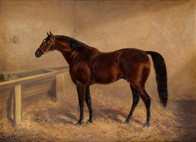 Wenlock: Een Bay-renpaard, in een losse box, ca. 1881-1903 door H. Whittaker Reville