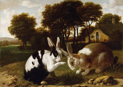 Twee Konijnen in een Landschap, ca.1650 door Haarlem School