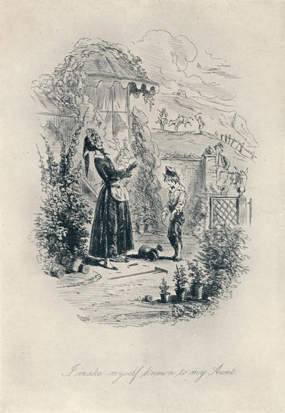 Ik maak mezelf bekend aan mijn tante. Ets uit David Copperfield, c1840-1880, 1923 door Hablot Knight Browne