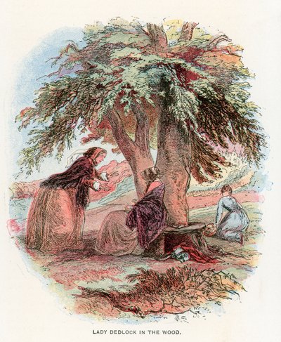 Illustratie voor Bleak House door Hablot Knight Browne