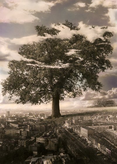 De boom in Islington door Hag Hag