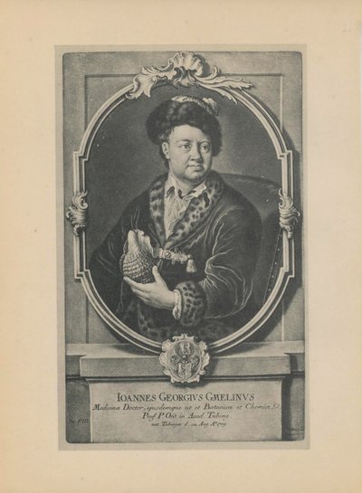 Portret van de natuuronderzoeker, botanicus en geograaf Johann Georg Gmelin 1709-1755, midden 18e eeuw door Haid