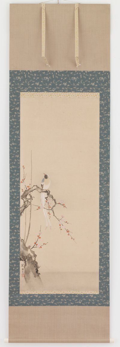 Vogel en pruimenbloesems, Edo-periode door Hanabusa Itcho