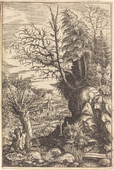 Landschap met een wilg door Hanns Lautensack