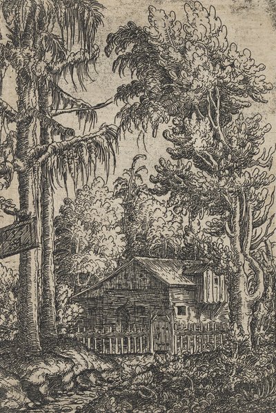 Een hut en twee dennen door Hanns Sebald Lautensack