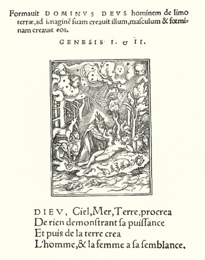 De schepping door Hans (after) Holbein the Younger