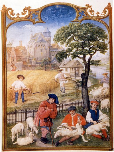Veldwerk, schapen scheren en boeren maaien tarwe. Miniatuur toegeschreven aan Memling. Plaat uit het Breviarium Grimani van de 15e eeuw. Biblioteca Marciana, Venetië door Hans (attr.to) Memling