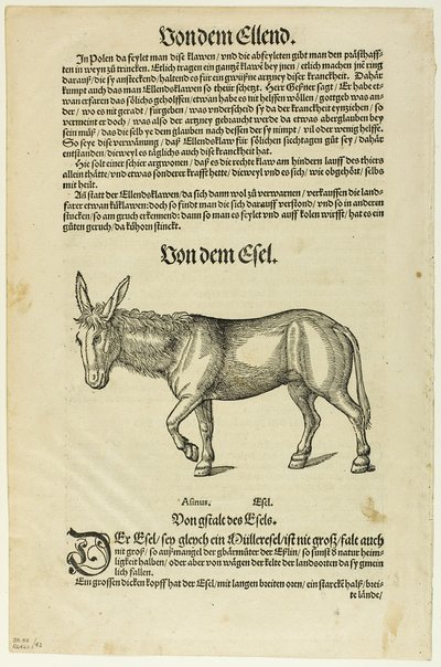 Illustratie uit "Thierbuch", plaat 42 uit Woodcuts from Books of the XVI Century door Hans Asper