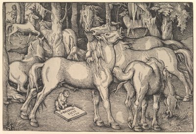 Groep van zeven paarden door Hans Baldung