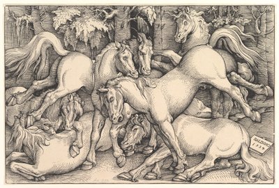 Groep van zeven paarden, 1534 door Hans Baldung