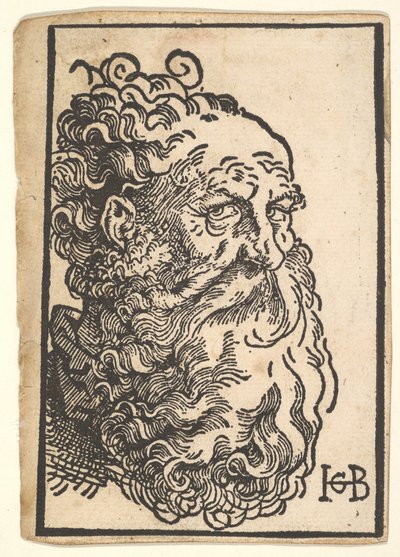 Hoofd van een bebaarde man door Hans Baldung
