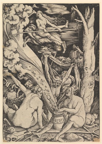 De heksen door Hans Baldung