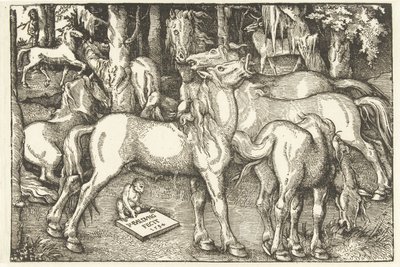 Groep van zeven paarden en een aap door Hans Baldung Grien