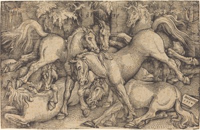 Groep van zeven paarden in het bos door Hans Baldung Grien