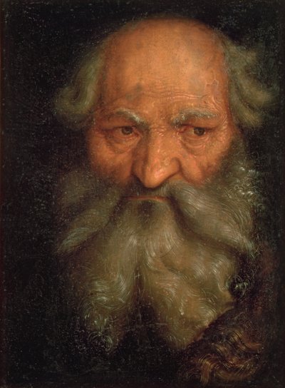 Hoofd van een oude man door Hans Baldung Grien