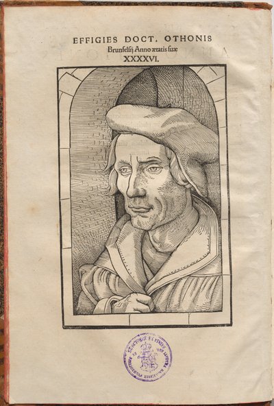 Annotationes Othonis Brunfelsii...in quatuor Euangelia & Acta Apostolorum... door Hans Baldung Grien, Otto Brunfels