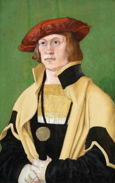 Portret van een Man, circa 1520 (olie op paneel) door Hans Brosamer