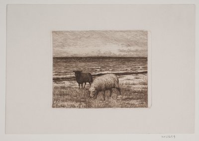 Schapen aan de oever door Hans Christian Gether Caspersen