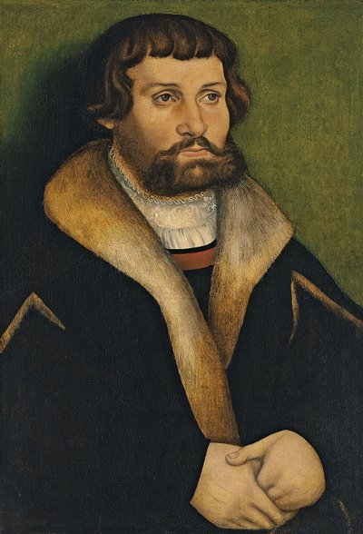 Portret van een bebaarde Man door Hans Cranach