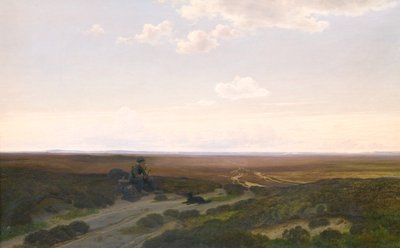 Uitzicht op Pårup Moors bij Silkeborg, Jutland door Hans Friis