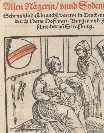 New Modelbuch allen Nägerin u. Sydenstickern titelpagina, 1r door Hans Hoffman