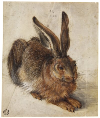 Een haas door Hans Hoffmann