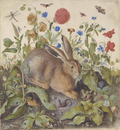 Een haas tussen planten, 1582 door Hans Hoffmann
