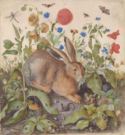 Een haas tussen de planten door Hans Hoffmann