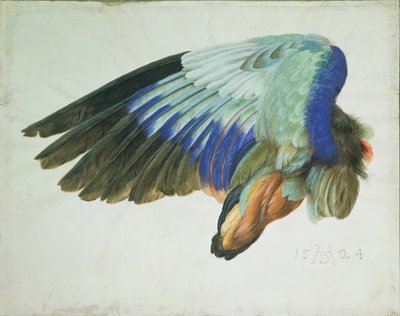De Rechtervleugel van een Blauwe Roller door Hans Hoffmann