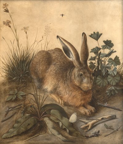 De haas door Hans Hoffmann