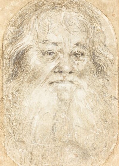 Studie van een Bebaarde Man (verso) door Hans Holbein the Elder