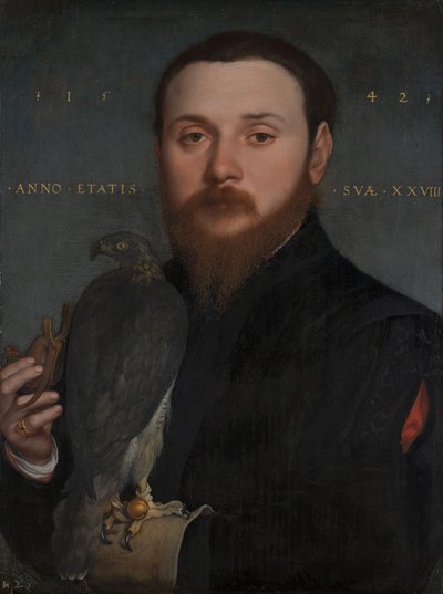 Portret van een Edelman met een Valk door Hans Holbein der Jüngere