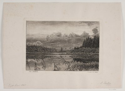 Het Meer in het Dennenbos door Hans Julius Fæster