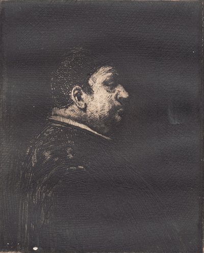 "Het model Reimers" door Hans Nikolaj Hansen