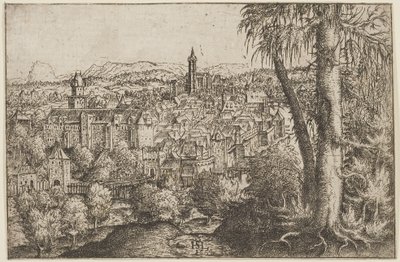 Uitzicht op Steyr aan de Enns door Hans Sebald Lautensack