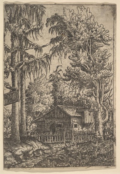 Hut Tussen Bomen, 1551 door Hans Sebald Lautensack