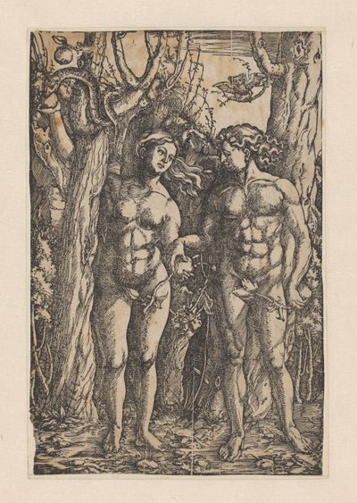 De zondeval door Hans Springinklee