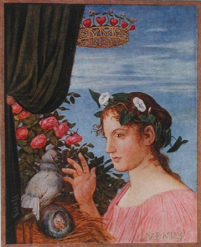 Venus, illustratie uit 