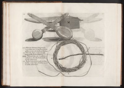 Illustratie uit de Reis naar het Eiland Madera, Barbados...Vol.2, 1815 door Hans after Sloane