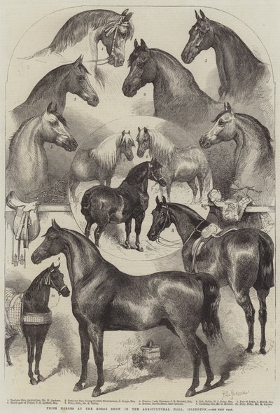 Prijswinnaars op de paardenshow in de Agricultural Hall, Islington door Harden Sidney Melville
