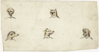 Hoofden van vier dieren en een skelet door Harmen ter Borch
