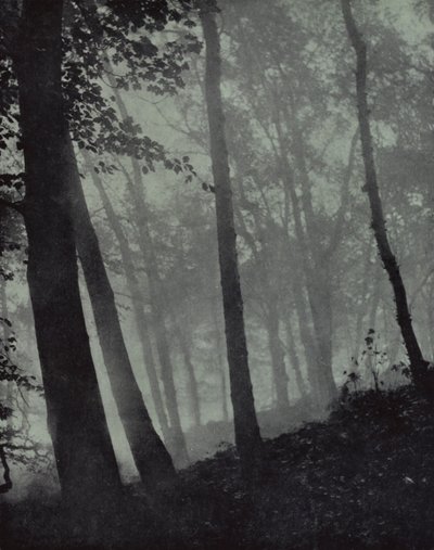 ... gebogen wandelingen van schemerige bossen en bruine schaduwen ... van den, of monumentale eik, Milton door Harold Burdekin