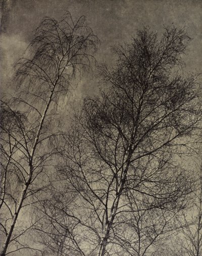 ... hun charme is geschreven langs een vloeibare hemel, Robert Bridges door Harold Burdekin